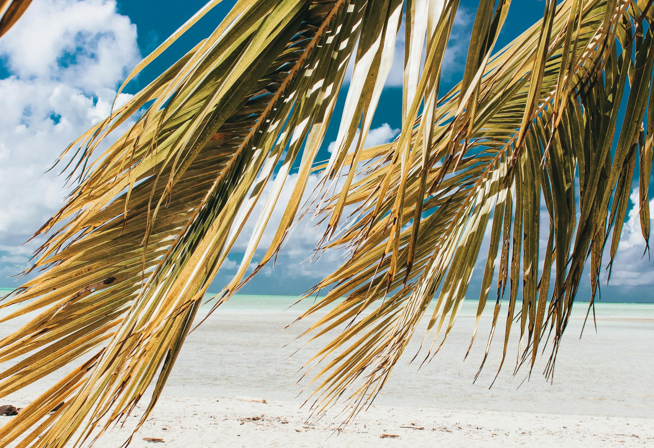 Egzotyczne raje – najpiękniejsze plaże karaibów